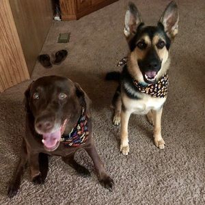 Meet your Posher, Lisa